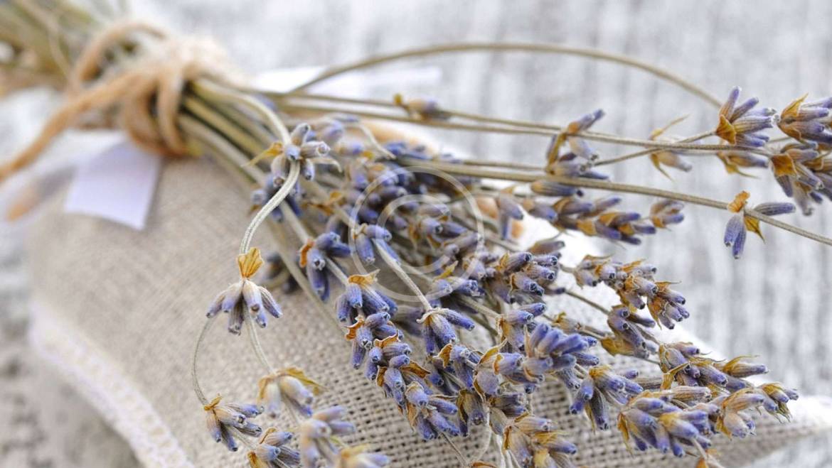 Best Organic Herbal Tea Brands