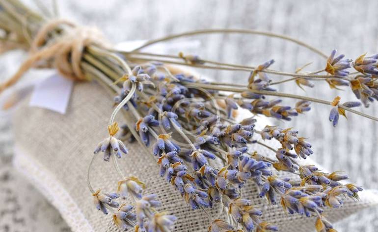 Best Organic Herbal Tea Brands