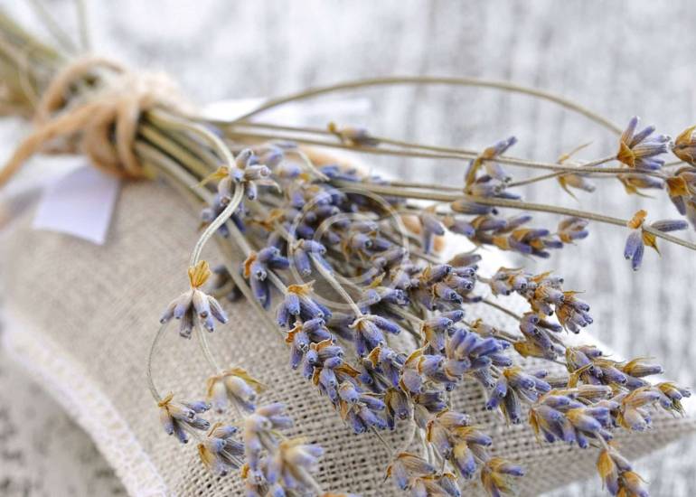 Best Organic Herbal Tea Brands