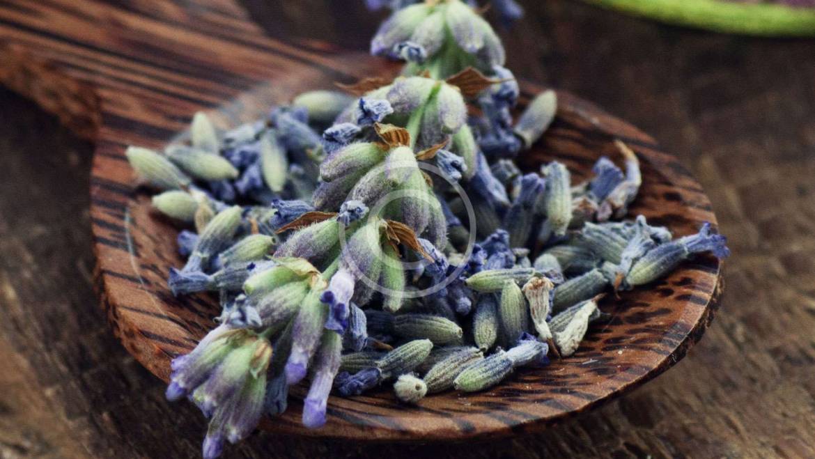 Choosing the Right Herbal Tea for You