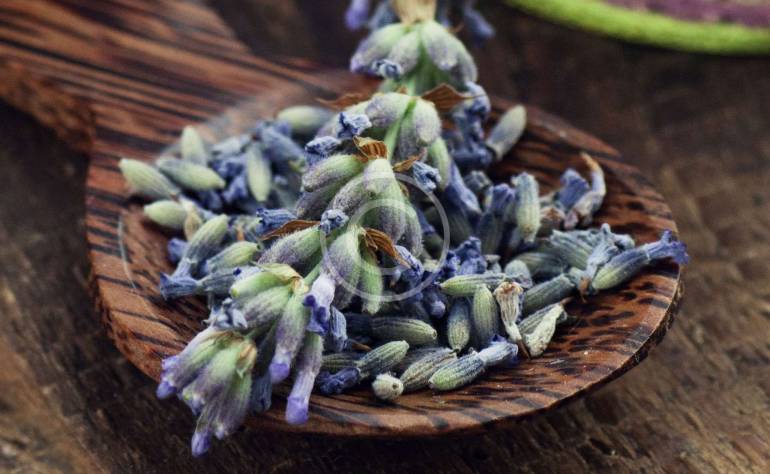 Choosing the Right Herbal Tea for You