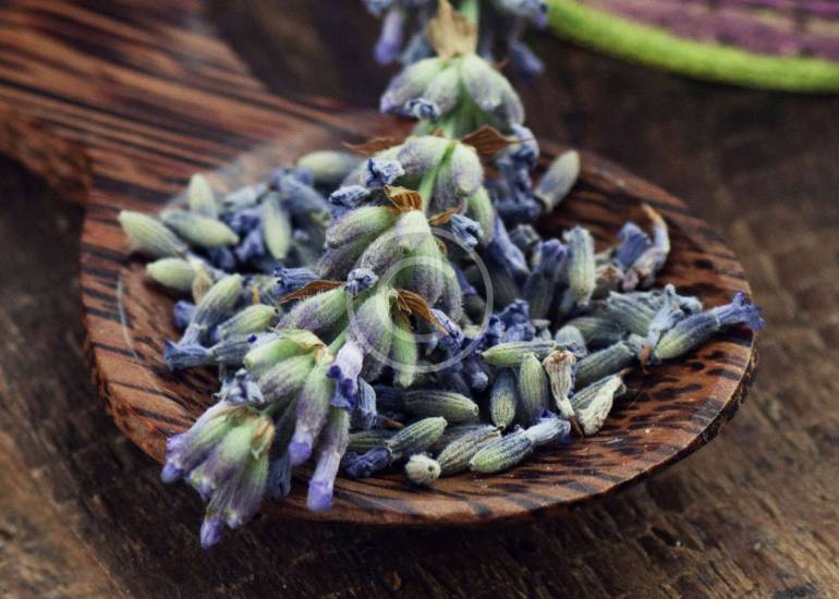 Choosing the Right Herbal Tea for You